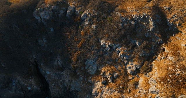 Coastal Cliffs Overlooking Calm Sea