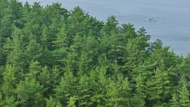 Lighthouse on a rocky coastline with trees