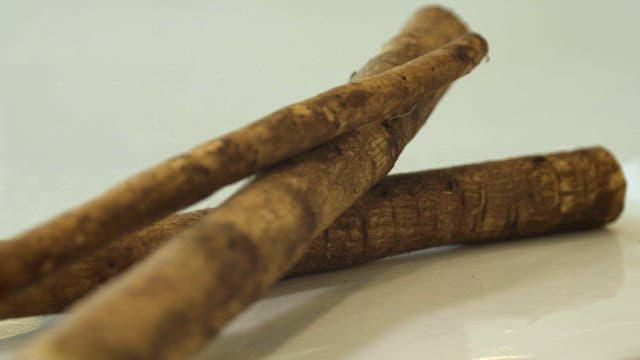Stacked burdock roots on a white plate