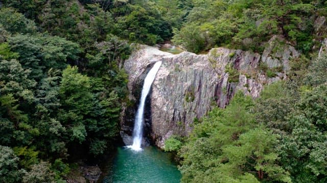 View of a waterfall in a lush forest