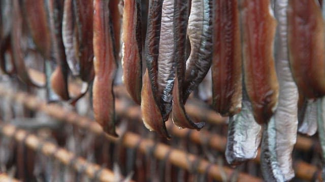 Fish drying on racks in an outdoor facility