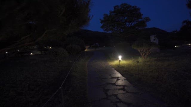 Quiet park in a dimly lit night