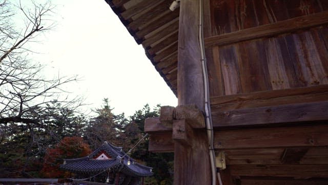 Sunlight filtering through traditional wooden architecture and trees
