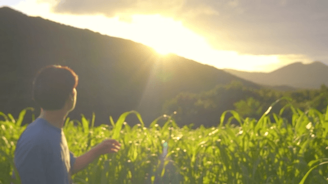Group of friends hiking through a lush field during sunset