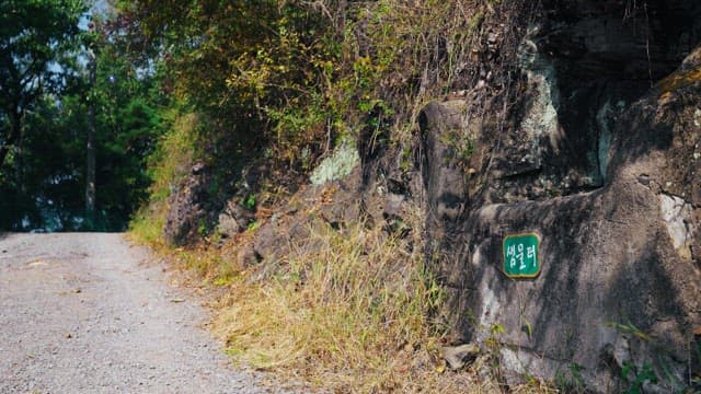 Spring waterfront surrounded by lush trees