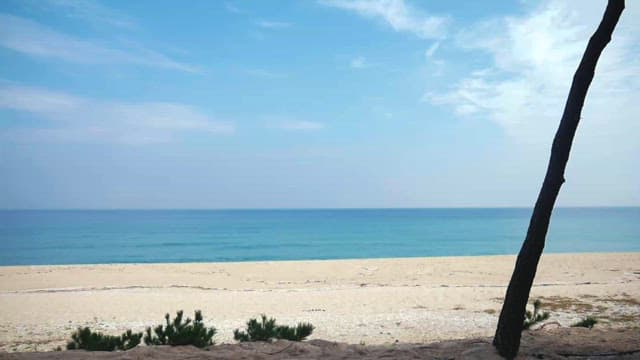 Tranquil Beach Scene with Clear Skies