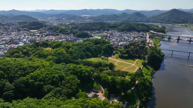 Lush green forest with a city in the background