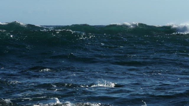 Powerful Waves Crashing in the Ocean