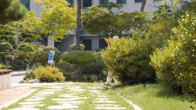 Woman enjoying a walk in a sunny garden
