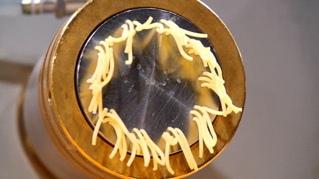 Pasta being extruded from a machine