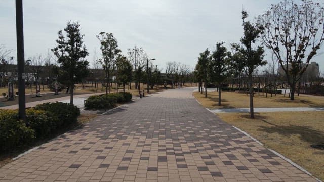 Quiet park path with trees and benches