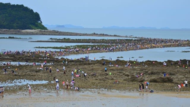 Coastal Tidal Flats Teeming with People