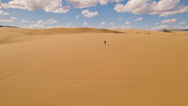 Lone Explorer Trekking Across Expansive Sand Dunes