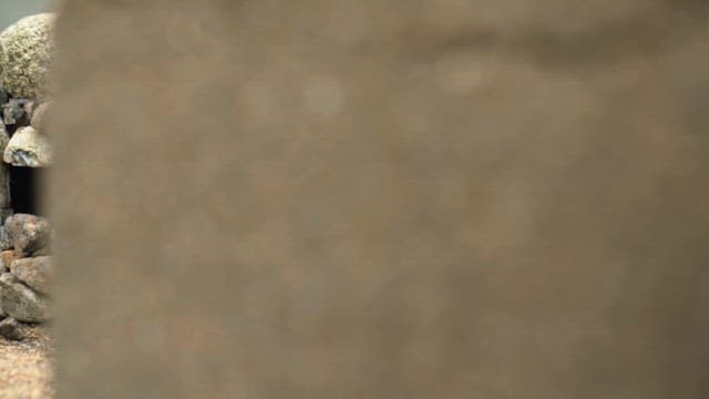 Small house made of stones on a dirt floor