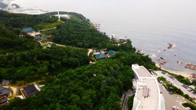 Coastal temple surrounded by lush forest