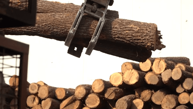 Excavator stacking logs outdoors