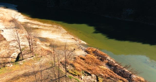 Person Walking by a Riverside in Nature