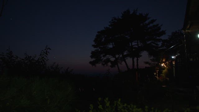 Cabin in the woods in the dark