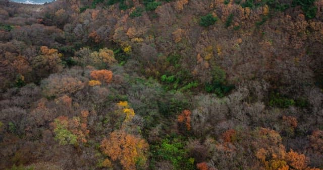 Sky Bridge Hanging Between Autumn Mountains