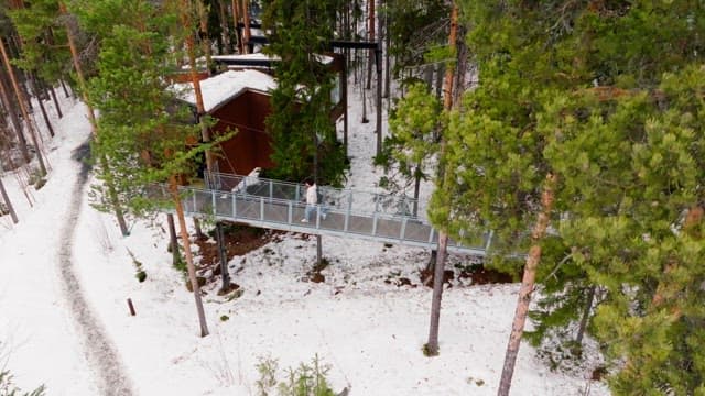 Person walking on a snowy forest bridge
