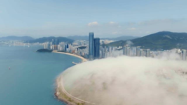 Coastal city with skyscrapers and fog