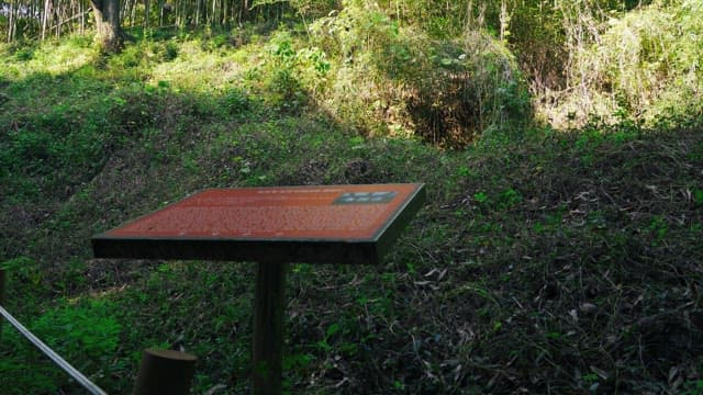 Informative signboard in lush forest