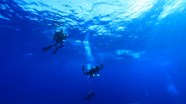 Scuba divers entering the deep sea