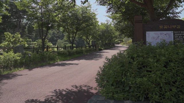 Serene Park Pathway Surrounded by Greenery