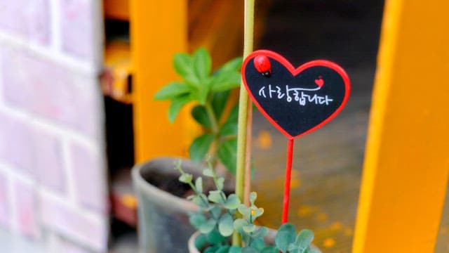Heart-shaped sign with a ladybug in a pot