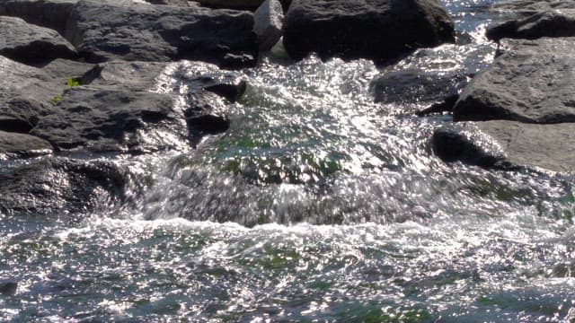 Freshwater stream flowing over rocks on a sunny day