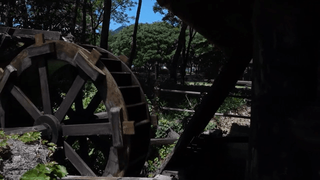 Traditional Watermill in a Forested Park