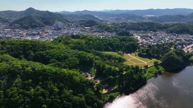 Lush green forest with a city in the background