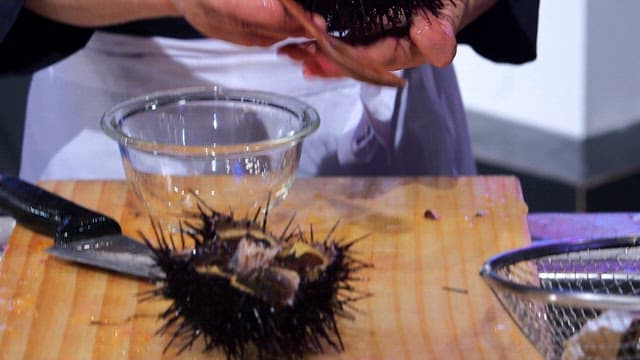 Preparing sea urchin in a kitchen
