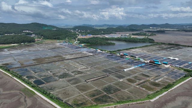 Landscape of Salt Pan in Coastal Village on a Sunny Day