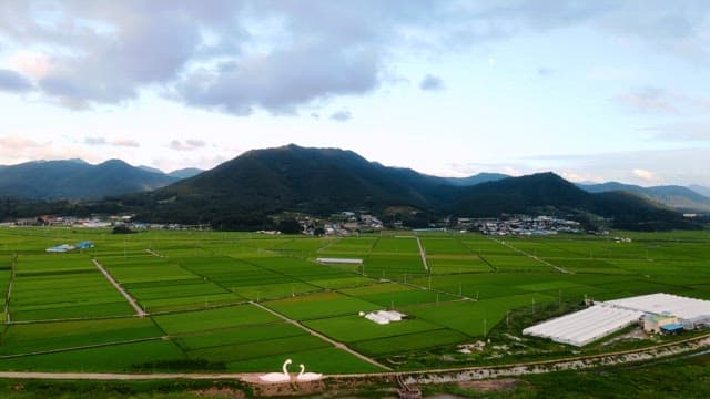 Expansive green fields with distant mountains