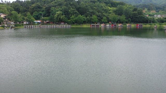 Quiet fishing spot with a lush forest as a backdrop