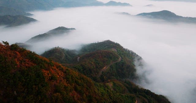 Misty Mountain Ridge at Dawn