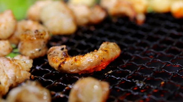 Sizzling meat on a barbecue grill