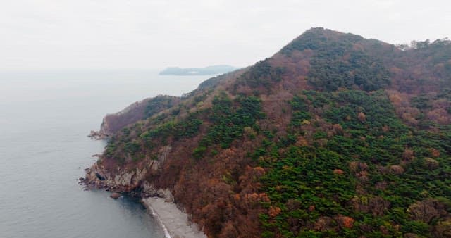 Autumn-Colored Forest on a Remote Island