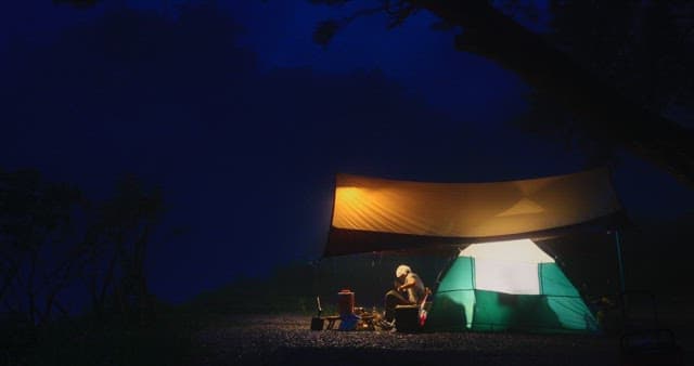 Serene Campsite Under a Night Sky