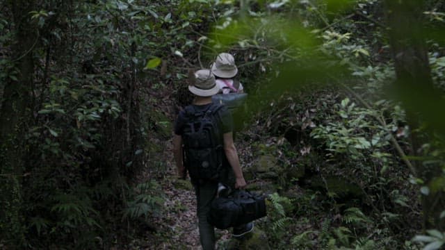 Two hikers walking through a dense forest trail, carrying travel bags