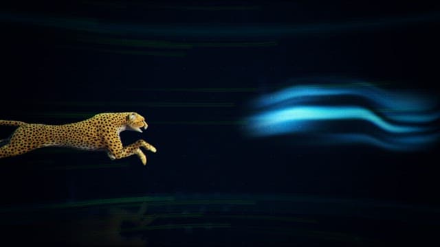 Cheetah in Motion with Visualized Forces