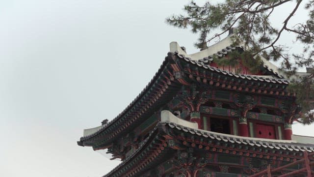 Colorful Design of Traditional Korean Architecture Surrounded by Trees