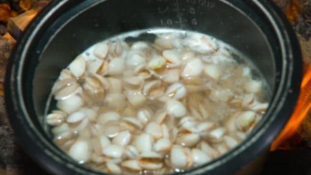 Clams boiling in a pot over a fire