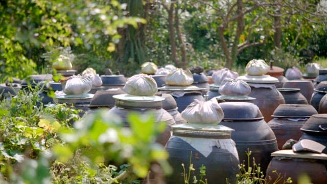 Platform for crocks of sauces and condiments with many crocks in a garden full of greenery