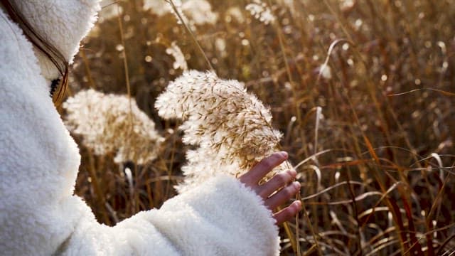 Person touching soft grass in a sunlit field
