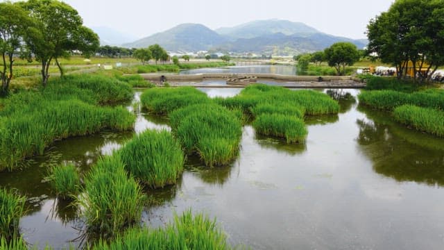 Scenic river with lush greenery