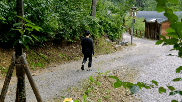 Person walking along a forest path