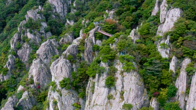 Suspended Bridge Over Rocky Mountains
