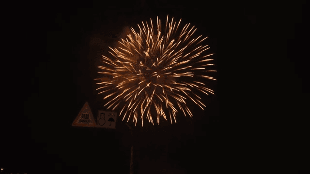 Fireworks lighting up the night sky